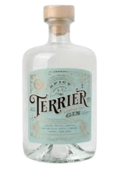 Gin Terrier Sícy