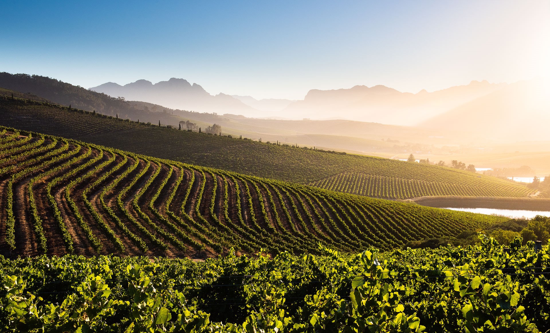Jordan Wine Estate