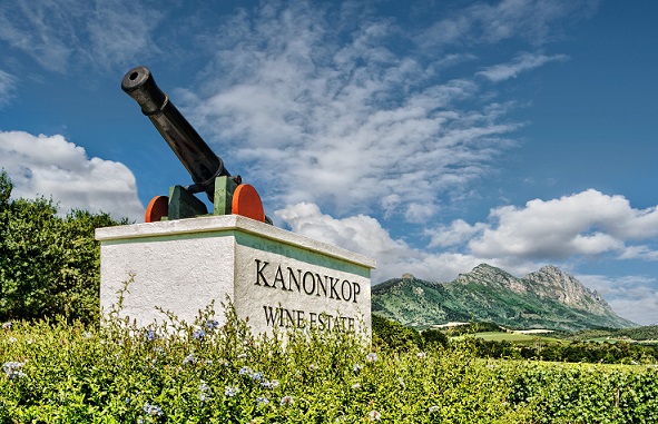 Kanonkop Wine Estate