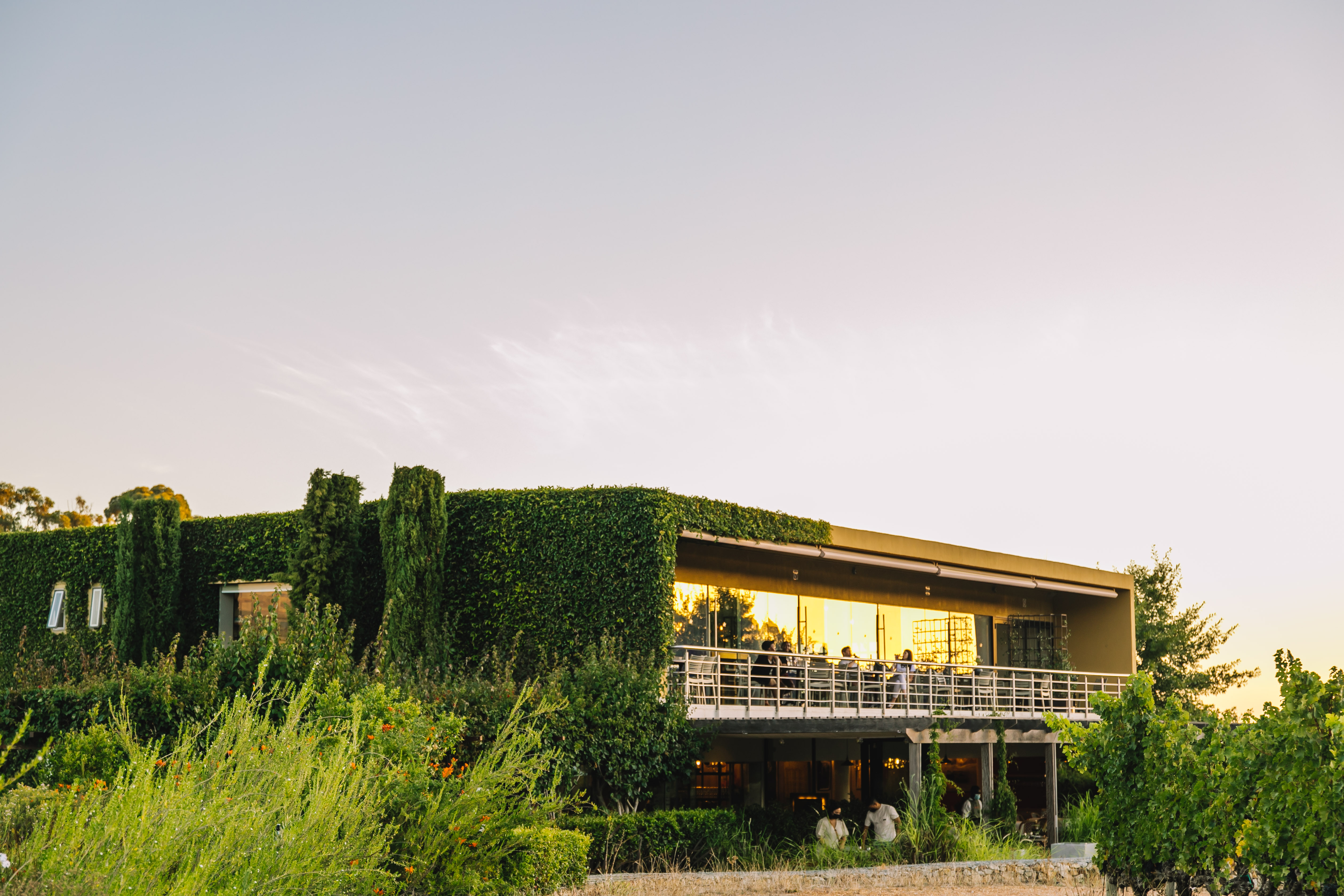 The Vine Bistro