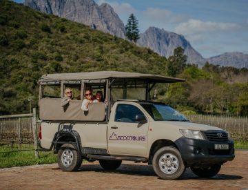 Stellenbosch Wine Safaris