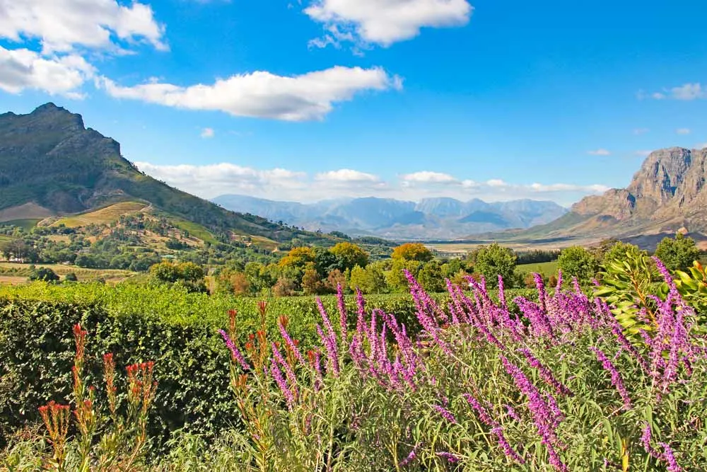 5 Best Nature Experiences in Stellenbosch