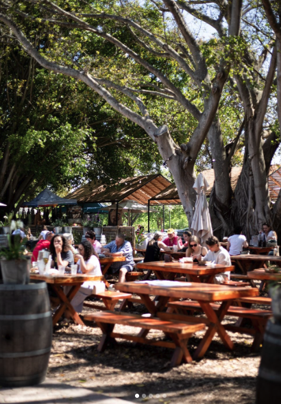 5 Best Family-Friendly Experiences in Stellenbosch