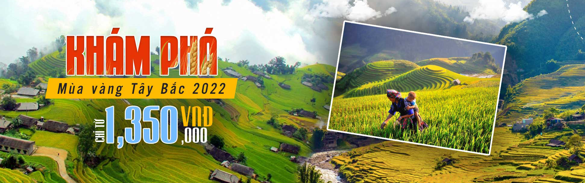 Mùa vàng Tây Bắc