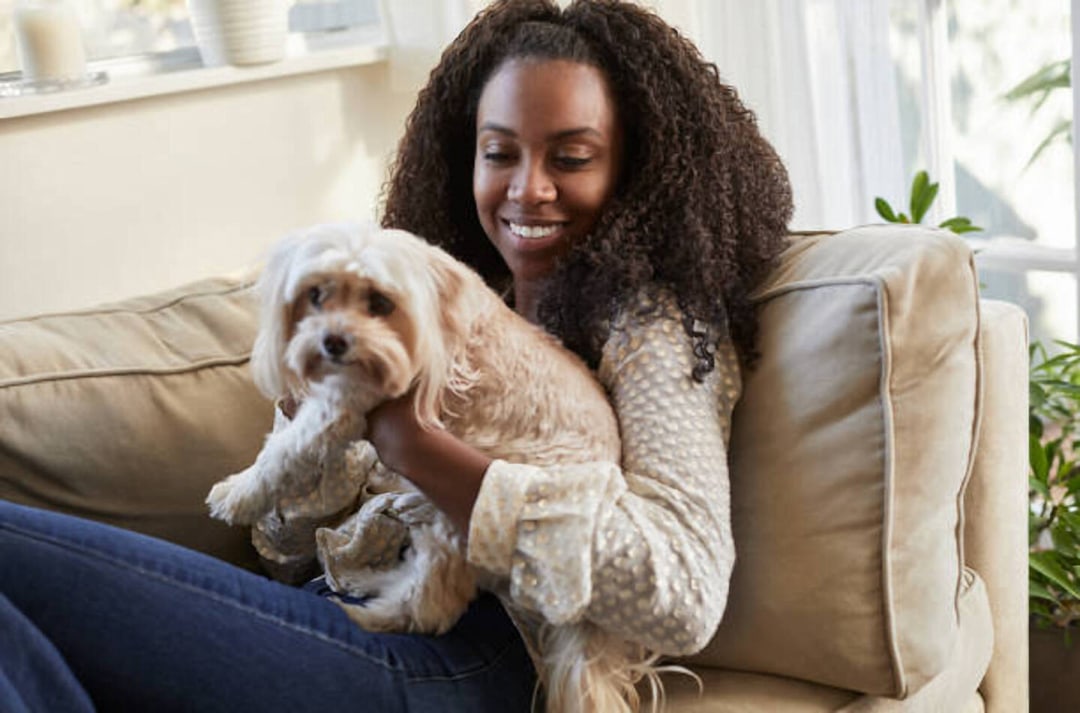 Creating the Perfect PetFriendly Home Blavior