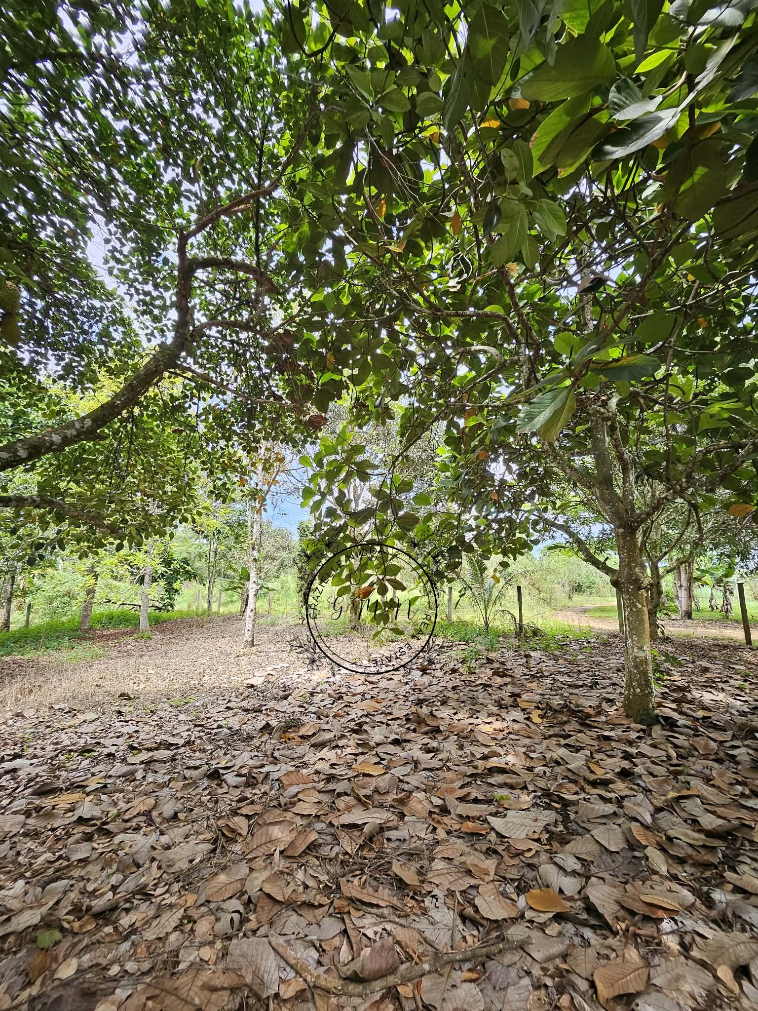 130 sqm Titled, Residential Lot for sale for only P3,500 per sqm. - Pinakabarato ra ni! 