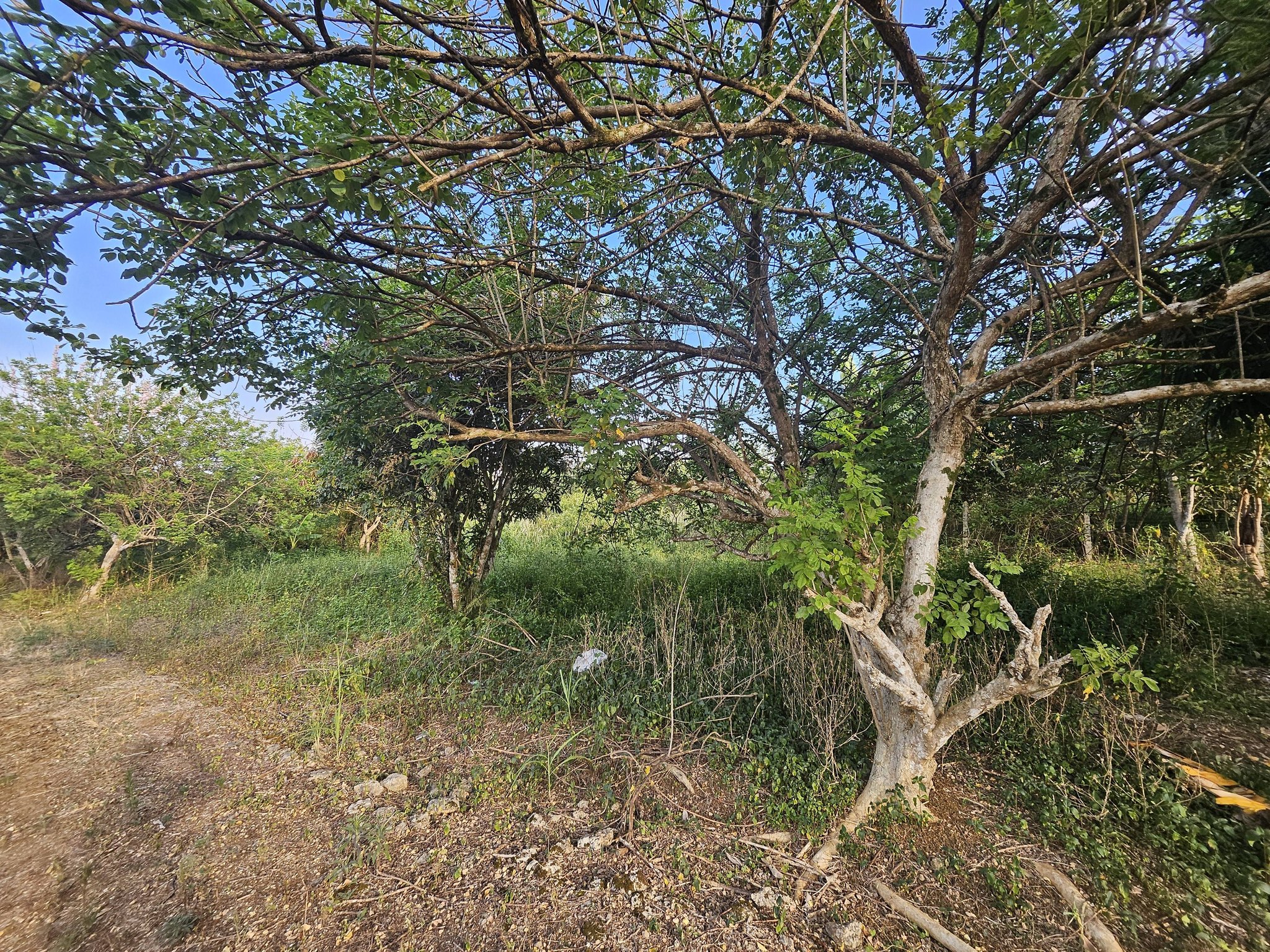 Titled 130sqm Residential Lot for sale in Damilag, Bukidnon