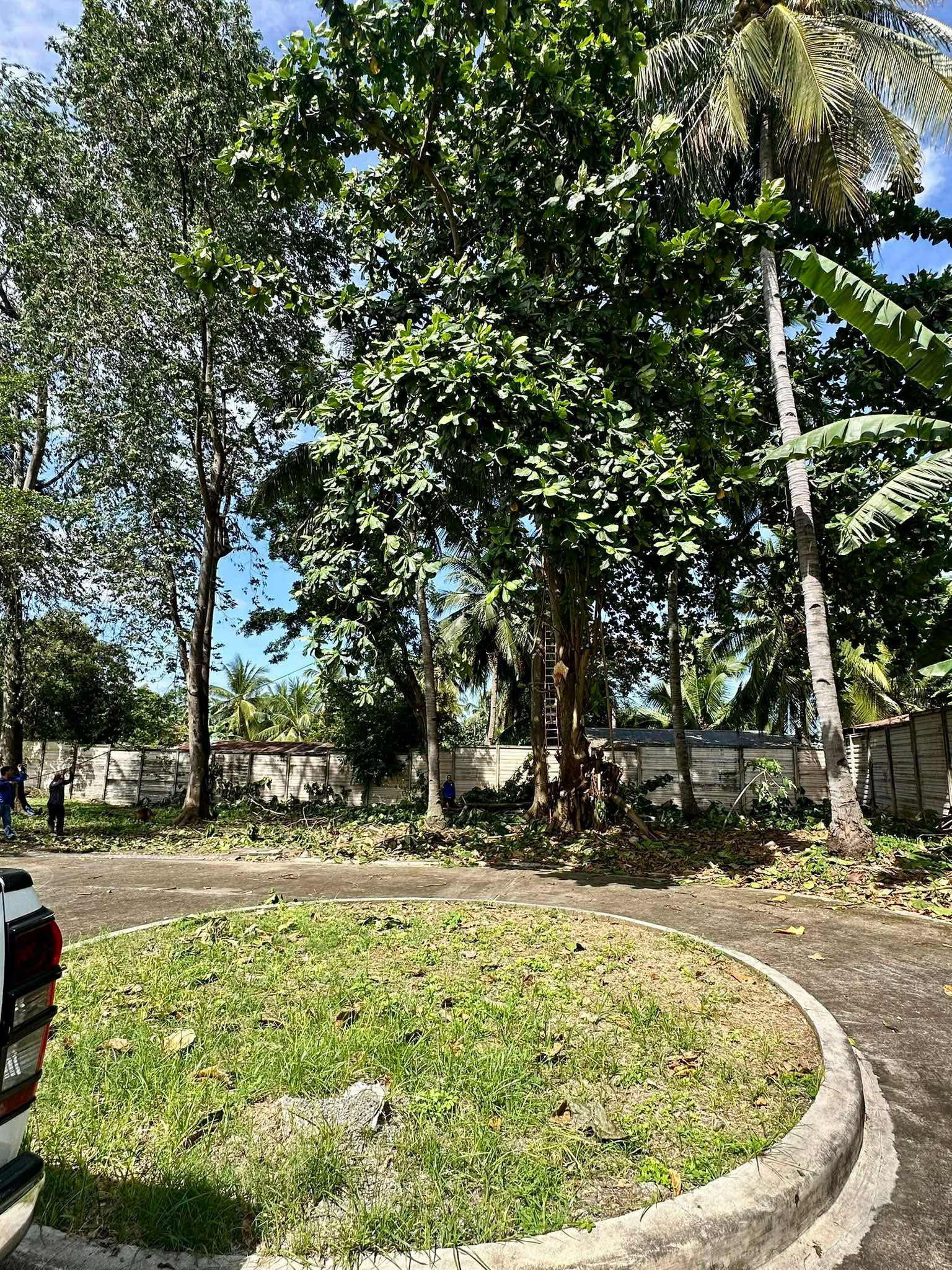 200sqm clean titled residential lot is now available for only Php 20,000 per sqm!