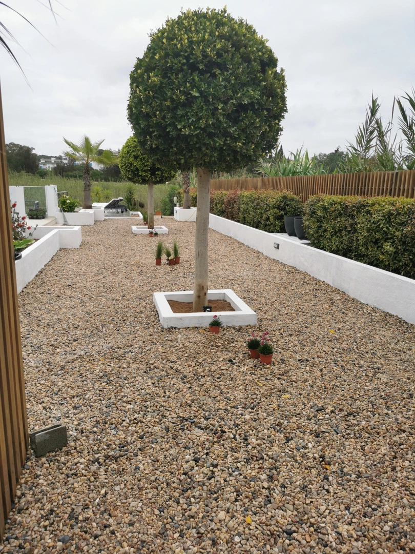 Service Image