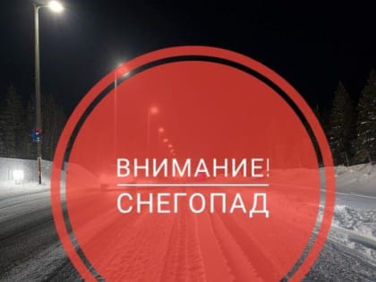 Ружан предупреждают о снегопаде