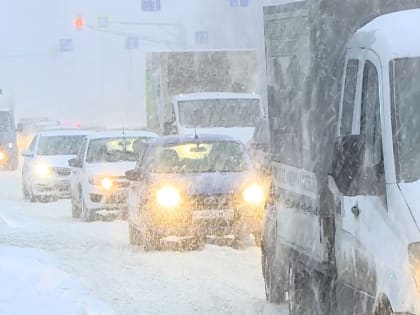 Московский регион накрыла метель