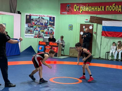 В Рузе прошел открытый урок по вольной борьбе