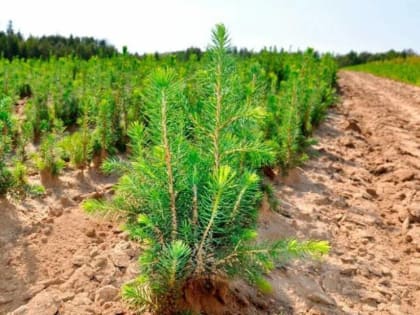 Уважаемые жители и гости г.о. Зарайск!