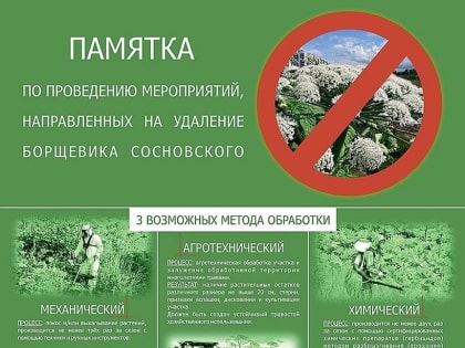 Борьба с борщевиком в городском округе Подольск