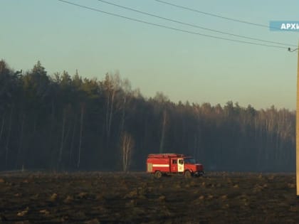 В 98 случаях в лесных пожарах причиной всегда является человек.