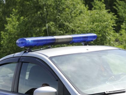 Задержание похитителя ноутбука в Раменском