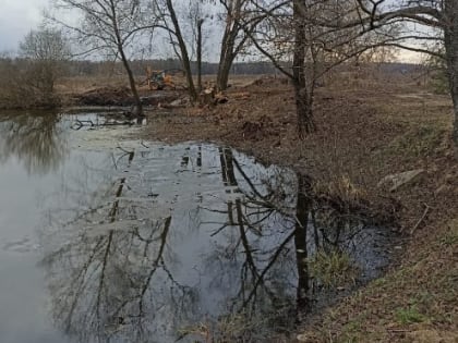 На реке в поселке Люберец расчистили дамбу от поваленных деревьев и кустарников