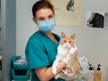 Новые инициативы в области здравоохранения для улучшения качества жизни