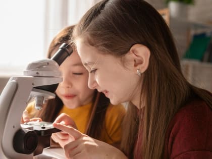 Образовательную смену проведут в школе №338