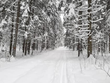 «Несчастливая» пятница принесет в Раменское снег и похолодание