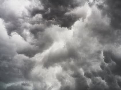 Новые инициативы в сфере здравоохранения в Москве