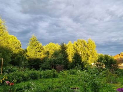 Сегодня в Подмосковье будет тепло и сухо