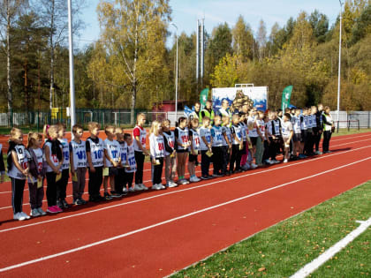 В Вербилках состоялись заключительные в этом сезоне соревнования по силовым видам спорта