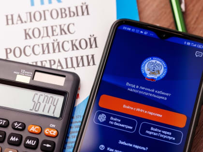 ФНС усилит контроль за самозанятыми в бизнесе