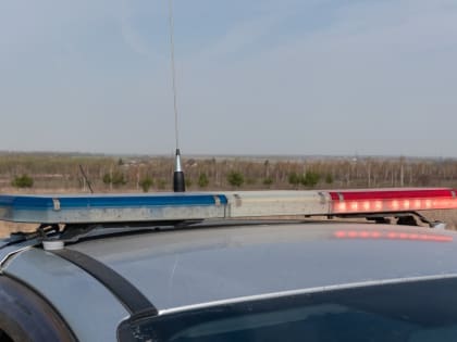 Смертельное ДТП в Раменском: велосипедист погиб под колесами автомобиля