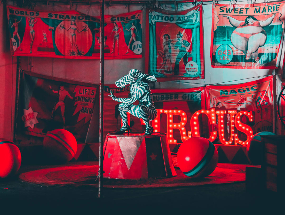 red and white neon light signage