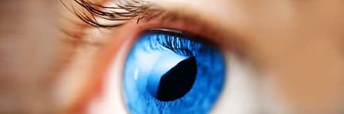 Human eye with shack hartmann lense