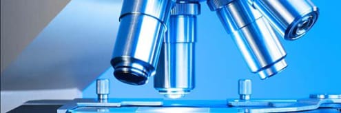 Confocal Microscope