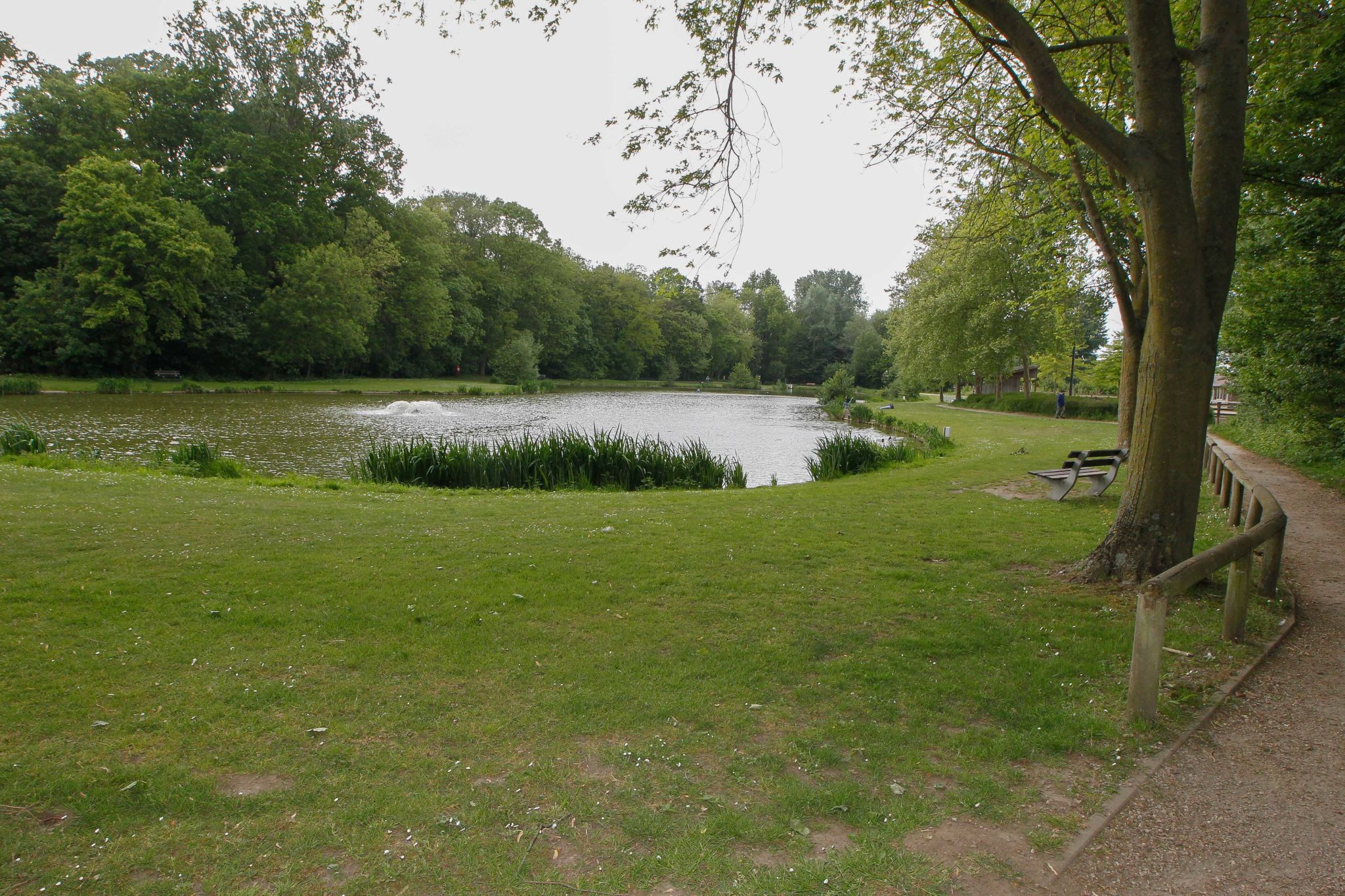 image 1032