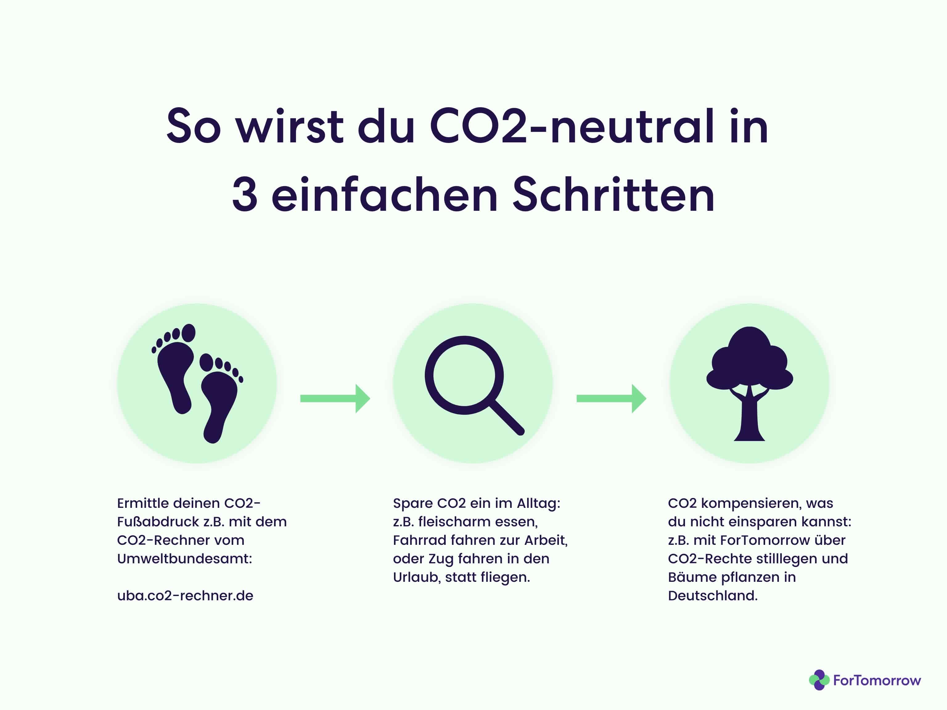 CO<sub>2</sub> kompensieren in 3 Schritten
