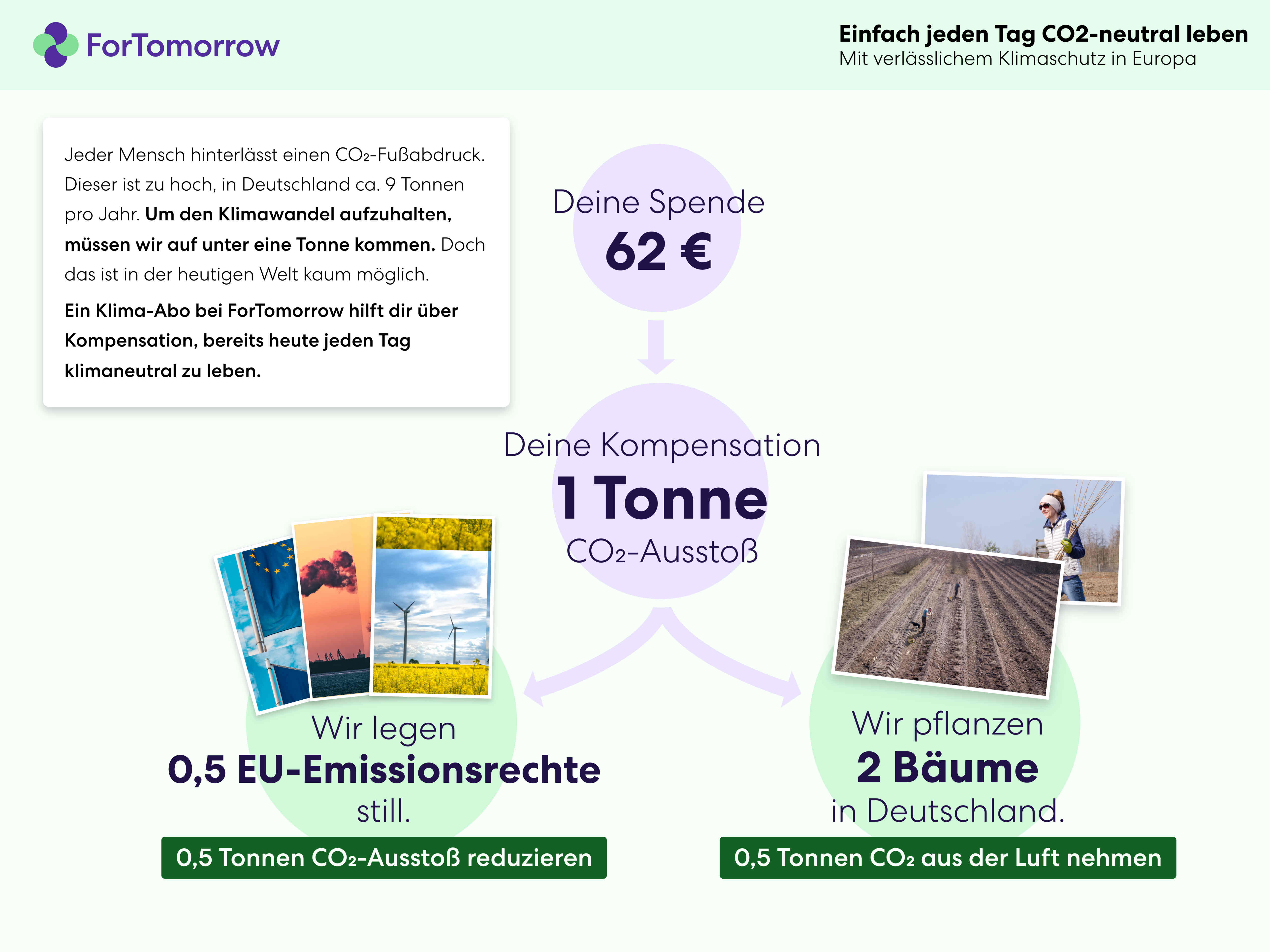 Grafik zu CO2-Kompensation ForTomorrow durch Emissionsrechte löschen und Bäume pflanzen in Deutschland