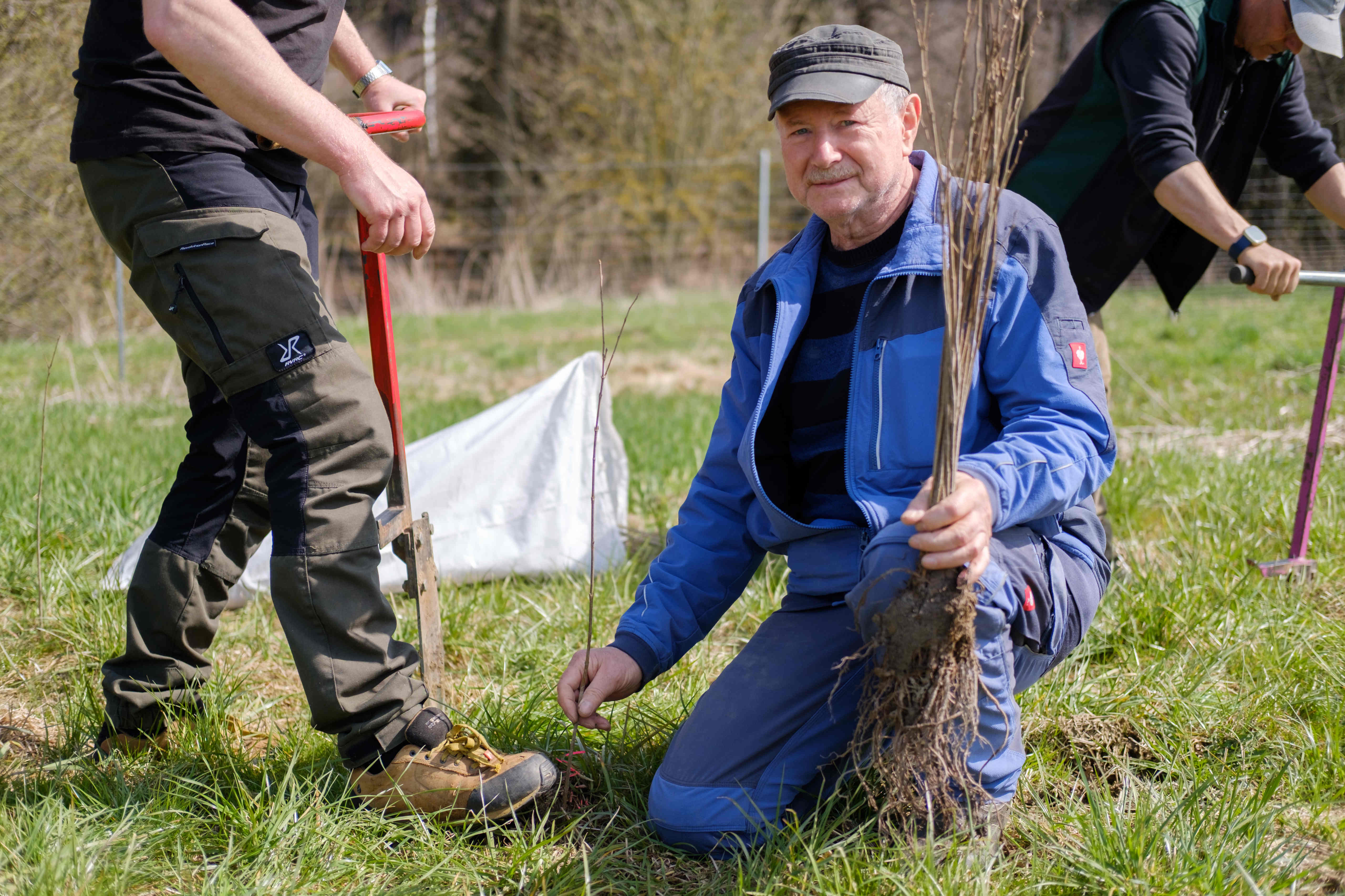 A man in work clothes, wearing a hat, is kneeling and holdin a sapling while looking at the camera