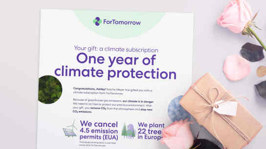 This general design has three background images of healthy forests.