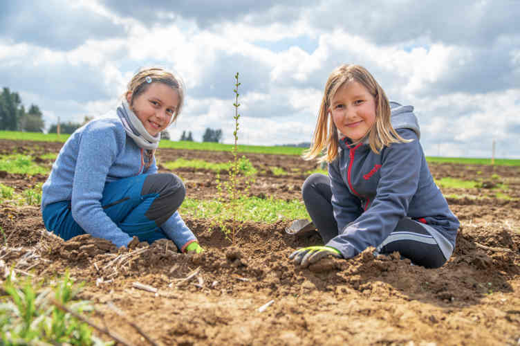 Zwei Kinder pflanzen einen Setzling