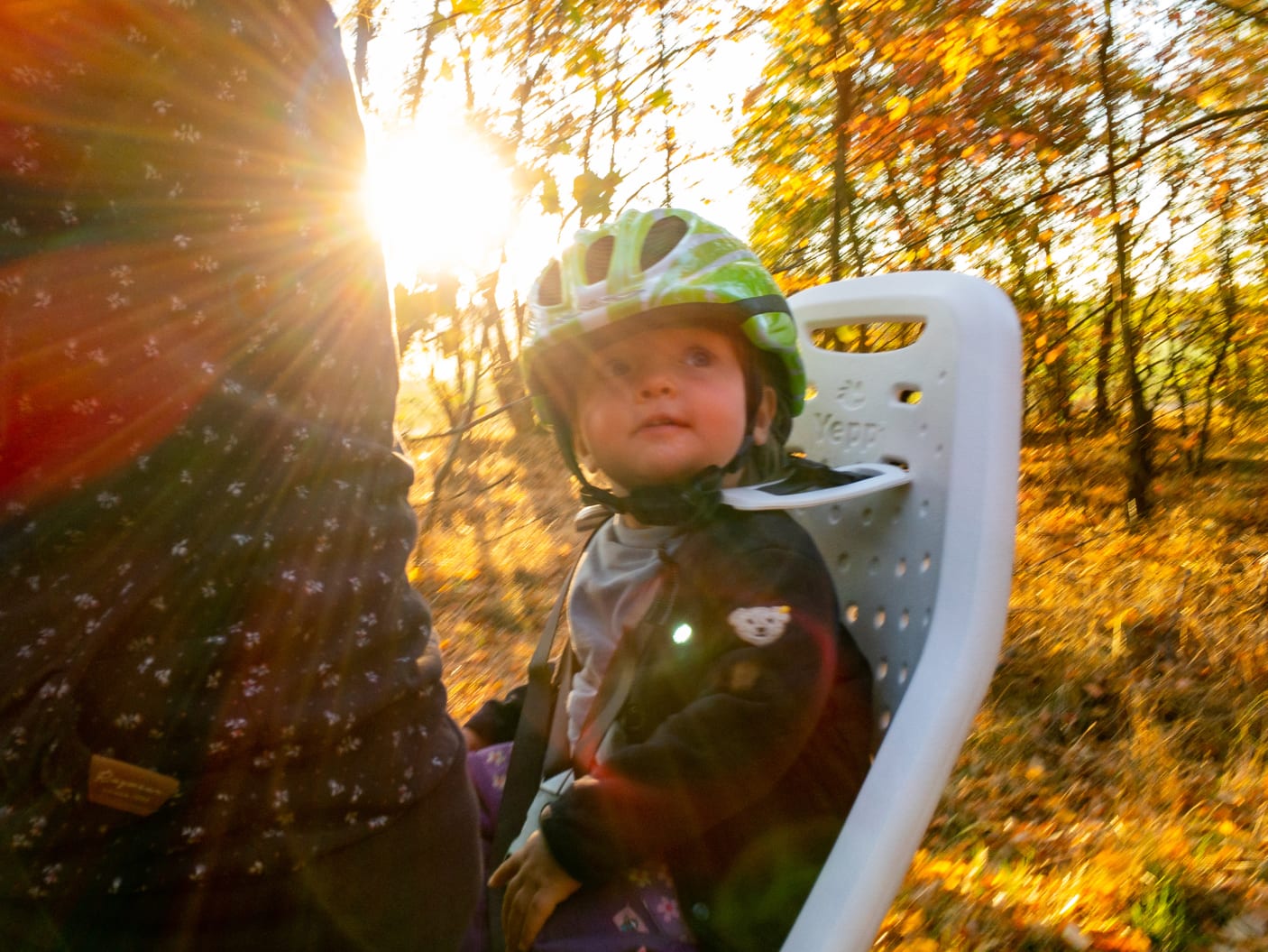 Little child on bicycle backseat