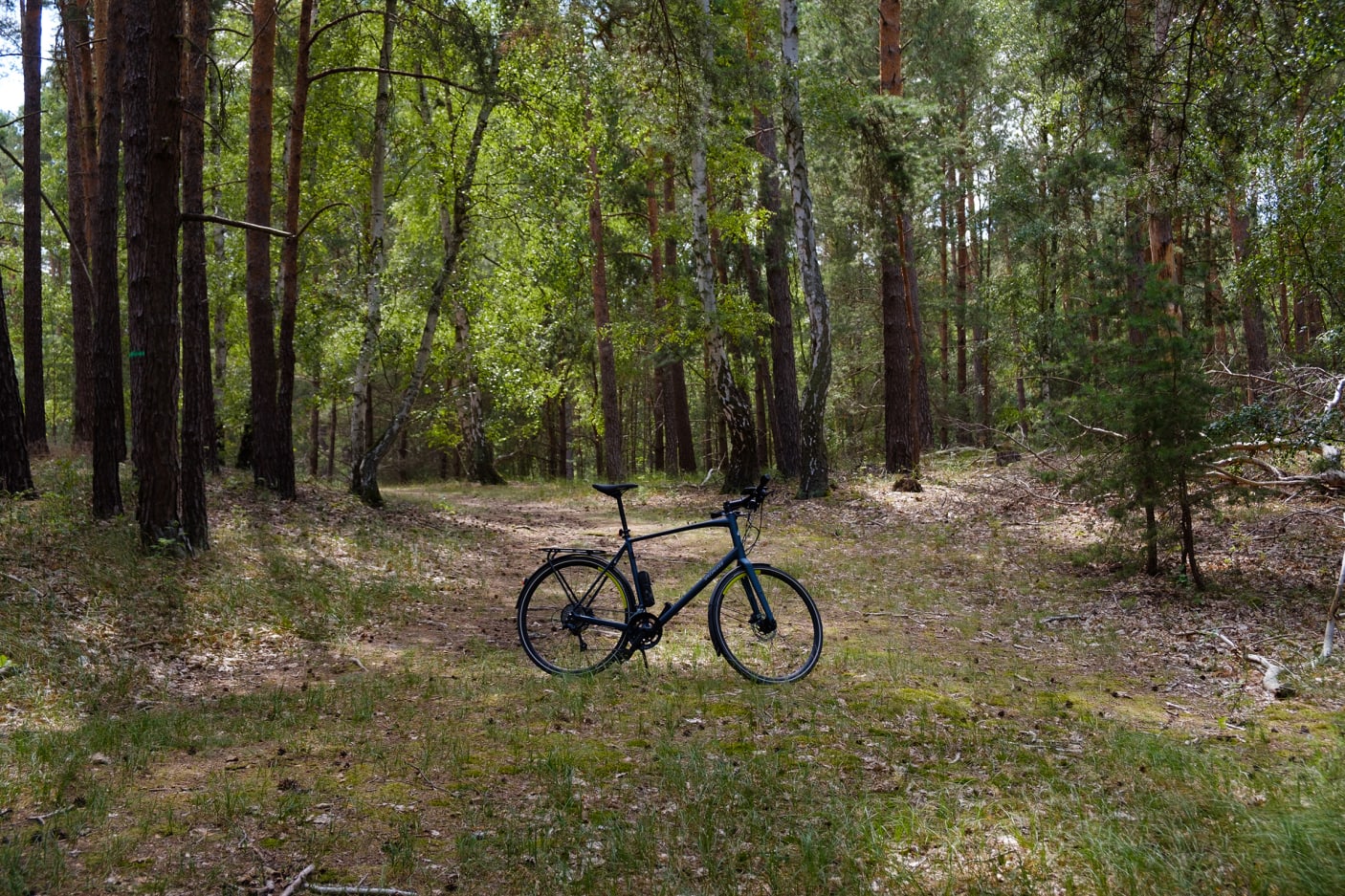 Light bike in a forest