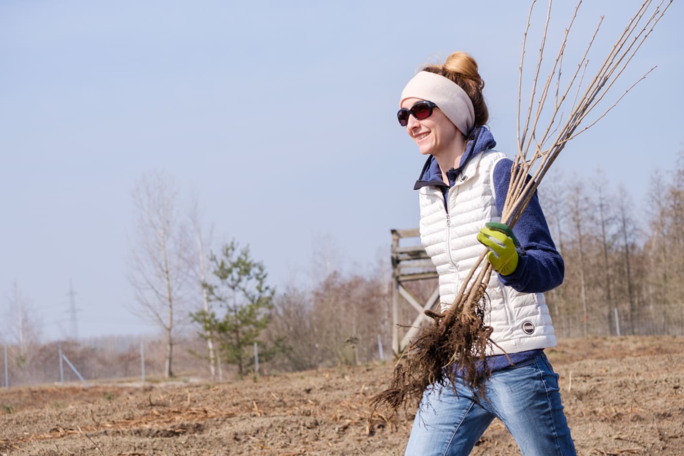 Woman carrying young trees