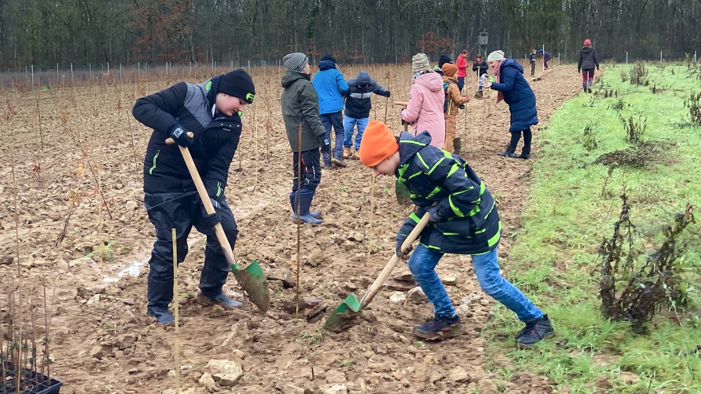 Eine Aufnahme von Kindern auf einem Feld auf dem sie Bäume pflanzen.