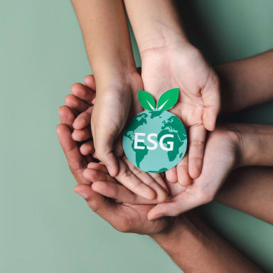 ESG Label liegt in diversen Händen