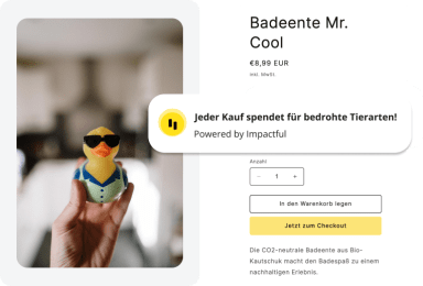 Foto einer Badeente, daneben ein Spenden-Plugin mit Text