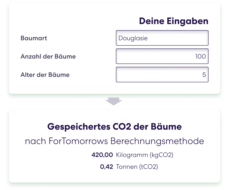 Eingabemasken von ForTomorrow's Baumrechner
