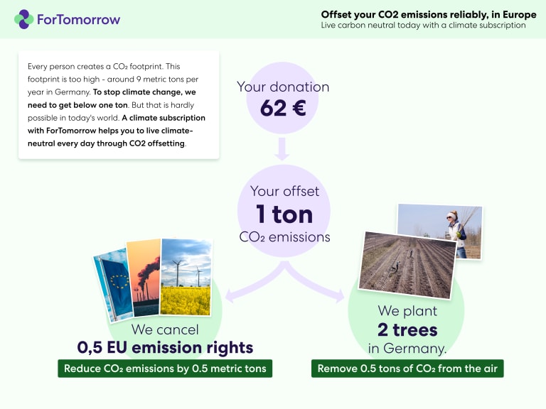 Graphic about CO₂ offsetting at ForTomorrow through canceling emission rights and planting trees in Germany