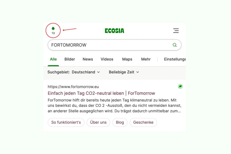 Suchfenster der Ecosia-Suchmaschine