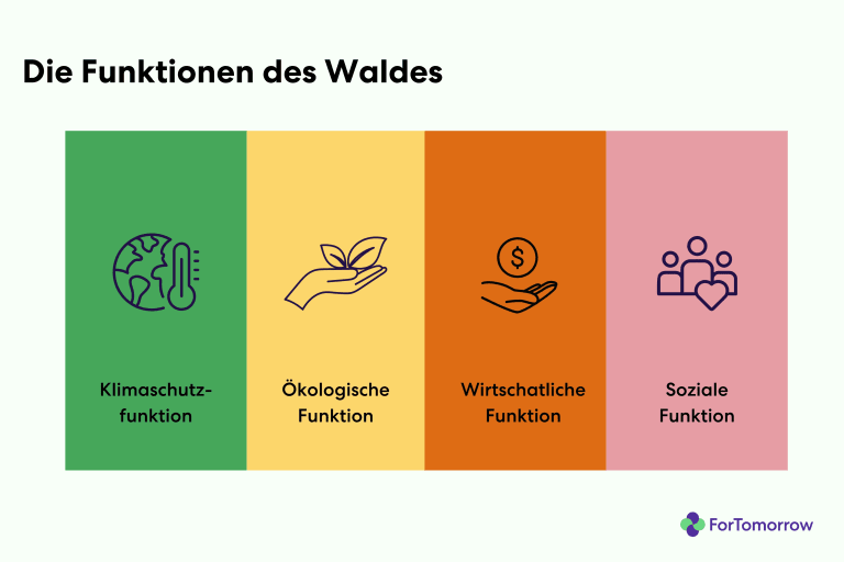 Funkion des Waldes erklaert in einer Grafik mit vier Spalten