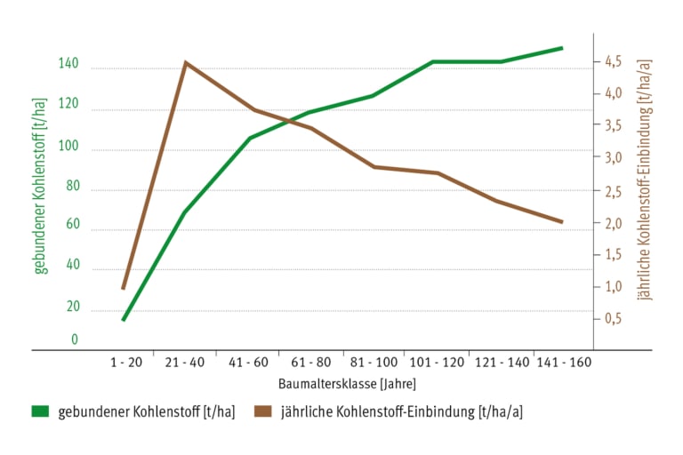 Grafik zur Kohlenstoffspeicherung nach Baumalter