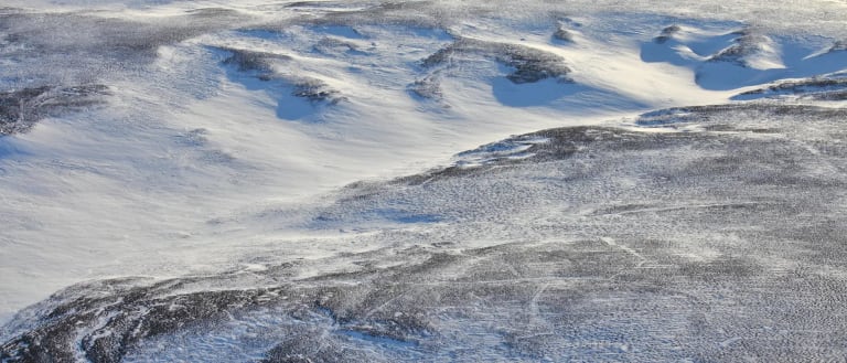 Photo of a permafrost soil